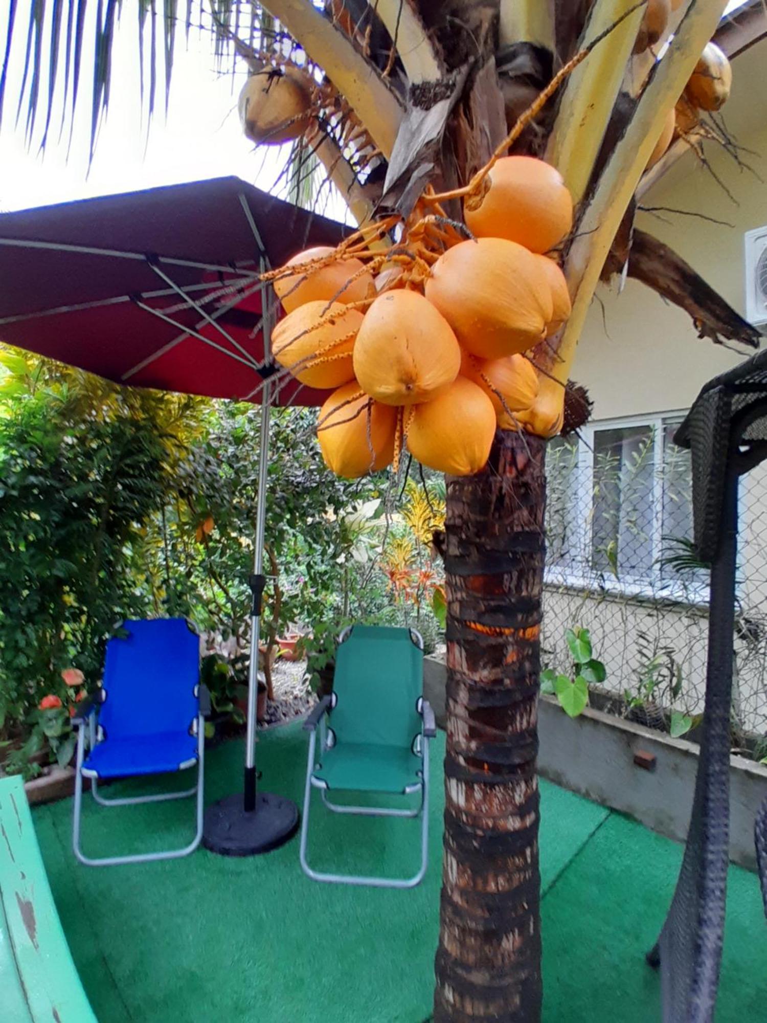 Milles Montagnes Residence Anse Royale Exterior photo